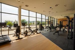 a gym with treadmills and cardio equipment in a building at Degenija Boutique hotel & Spa in Seliste Dreznicko