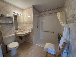a bathroom with a toilet and a sink and a shower at The Sunshine Inn in Parrsboro