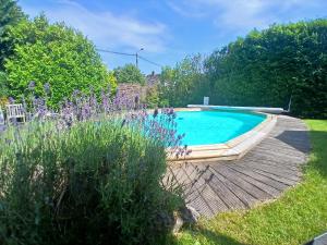 a swimming pool in a garden with purple flowers at Côté Cosy in Marche-en-Famenne