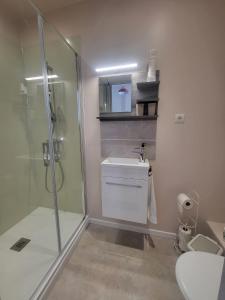 a bathroom with a shower and a sink and a toilet at COMME A LA MAISON in Espéraza