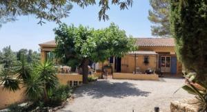 a house with a tree in front of it at Chambres d'hôtes de charme La Joséline in Flayosc