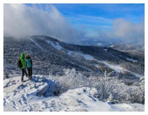 Gallery image of Rippling Waters close to Timberline ski slopes in Cortland