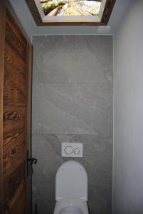 a bathroom with a toilet with a skylight at Mont Joly 2 in Le Baplieu +8 photos