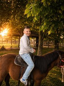 a young boy riding on the back of a horse at Ranč Zlatne niti by Acin salaš in Tordinci