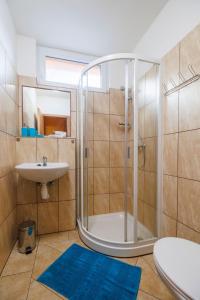 a bathroom with a shower and a sink at Pastvinka in Pastviny +16 photos