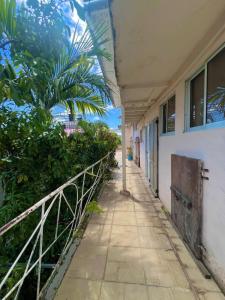 a walkway outside a building with a palm tree at El europeo in Santo Domingo