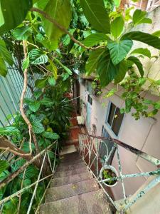 an entrance to a building with a bunch of plants at El europeo in Santo Domingo