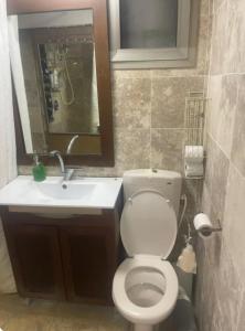 a bathroom with a toilet and a sink and a mirror at OSHER Simple house in Nahariyya +5 photos