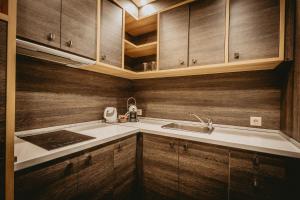 a kitchen with wooden cabinets and a sink at Hotel ZOO Sofia in Sofia