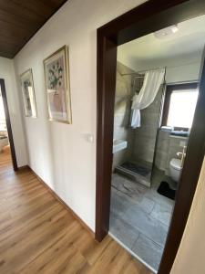 a bathroom with a shower and a toilet and a mirror at Ferienwohnung Maison Maurus nahe Idar-Oberstein in Mörschied +34 photos