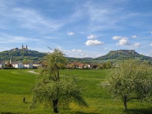 Zwei Bäume auf einem Feld mit einem Berg im Hintergrund in der Unterkunft Casa Sonora in Lichtenfels