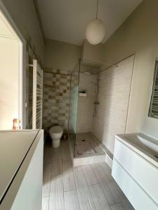a bathroom with a shower and a toilet and a sink at Agen centre in Agen
