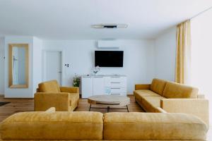 a living room with two couches and a tv at Beach SUN and FUN Penthouse in Podersdorf am See