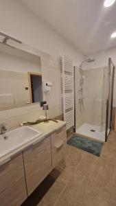 a bathroom with a tub and a sink and a shower at MASO CLENA in Balbido-rango