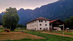 a white building with horses in front of a mountain at MASO CLENA in Balbido-rango