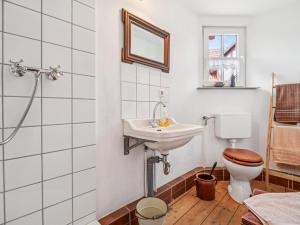 a bathroom with a toilet and a sink at Die Obermühle in Sangerhausen