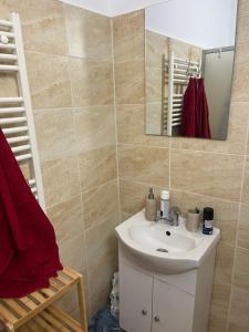 a bathroom with a sink and a mirror at Bookworm Ultracentral Cozy, ultracentral apartment for people who appreciate comfort, details and books in Târgu-Mureş +13 photos
