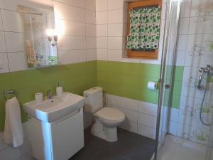 a bathroom with a toilet and a sink and a shower at Chata pod Urbanovym Vrchom in Čierny Blh