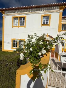 a house with a plant in front of it at Villa Ericeira in Ericeira