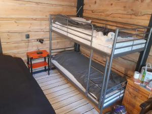 zwei Etagenbetten in einem Zimmer mit einer Holzwand in der Unterkunft Forest lodge in Lohja