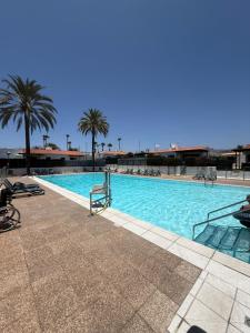 a large swimming pool with palm trees and the ocean at parking terraza jumbo by stay in gran canaria in Playa del Ingles