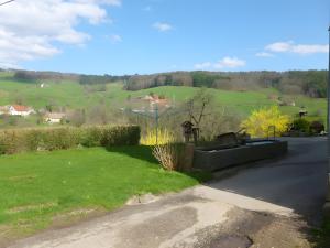 a house on a hill with a green field at Gîte Les Hambostures in Lapoutroie