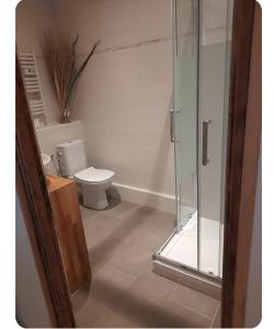 a bathroom with a toilet and a glass shower at Duplex centre historique frejus in Fréjus