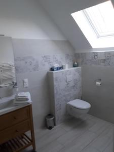 a bathroom with a toilet and a sink and a skylight at La Grange in Chérisy +20 photos