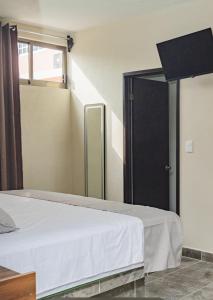ein Schlafzimmer mit einem Bett und einem Spiegel in der Unterkunft Hotel & Suites JM in Orizatlán