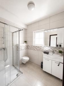 a bathroom with a shower and a toilet and a sink at Apartments Marina in Lopar +68 photos