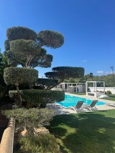 a swimming pool with two chairs and a tree at Al Mare da Francesca in Olbia