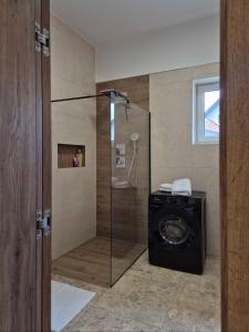 a shower with a washing machine in a bathroom at Villa Freska in Rogaška Slatina +35 photos