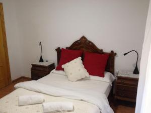 グラナダにあるサンホセ ゲストハウスのベッドルーム1室(赤い枕とナイトスタンド付)