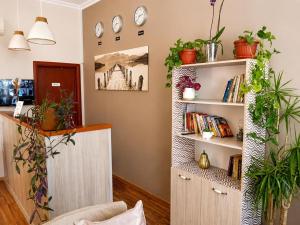 a room with a book shelf with plants and clocks at Liora studio apartments in Sunny Beach