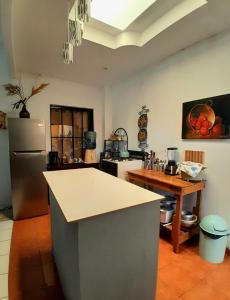 a kitchen with a refrigerator and a counter top at GuacamayaGuestHouse in Concepción de Ataco +20 photos