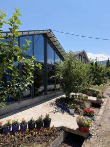 a garden with potted plants in front of a building at FlowerHouse in Karakol