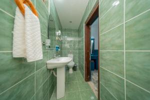 a bathroom with a sink and a toilet at Forest Garden in Goynuk +16 photos
