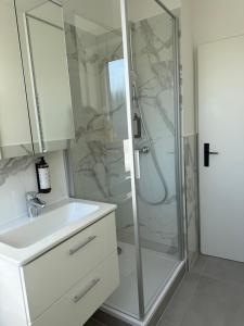 a bathroom with a shower and a sink at ZV38-Mammut-30 in Salzgitter