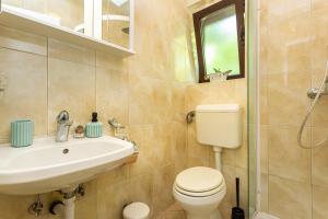a bathroom with a toilet and a sink at Apartment Magnolia in Šilo