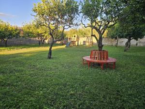 En have udenfor RaMa Residence