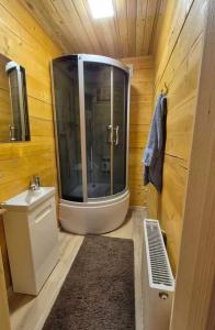 a bathroom with a shower with a toilet and a sink at Forest House in Yablunytsya +10 photos