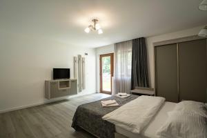 a bedroom with a bed and a television in it at Vila Popasul Dacilor in Grădiştea de Munte +66 photos