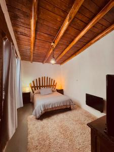 a bedroom with a bed and a large rug at Apartamento Cerrito in San Rafael +48 photos