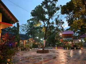 a tree in the middle of a street at night at SHANKARDHABA&resort in Guwahati