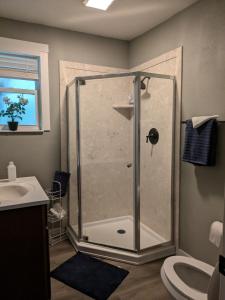 a bathroom with a shower with a sink and a toilet at Country side house with with cozy 3 bedrooms and 2 bath in Minneola