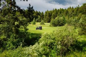 a golf cart driving through a lush green field at Chatička in Veľká Lomnica