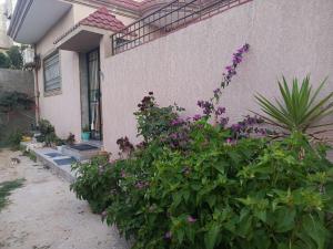 a bush of flowers in front of a house at maison entre forêt et mer in Raʼs al Jabal