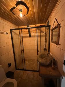 a bathroom with a shower with a sink and a toilet at Peak ayder bungalow in Ayder Yaylasi +19 photos