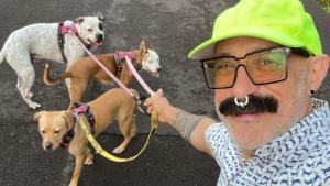 a man with two dogs on a leash at Tiki Treehouse in Keaau +18 photos