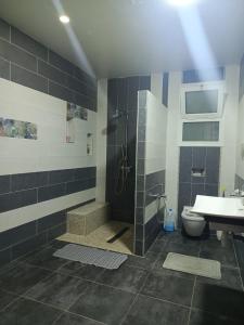 a bathroom with a shower and a toilet and a sink at maison entre forêt et mer in Raʼs al Jabal +9 photos